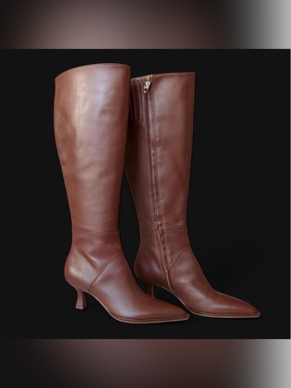 Dolce Vita Tall Leather Knee-High Boots in Chestnut Brown